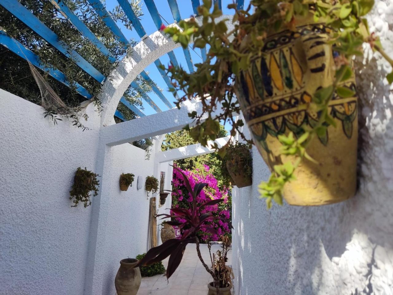 Dar Salama Bizerte Dış mekan fotoğraf